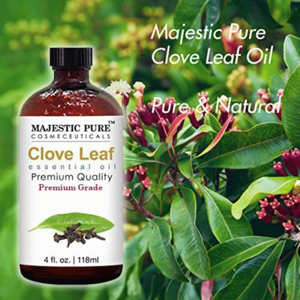 Majestic Pure Clove Oil