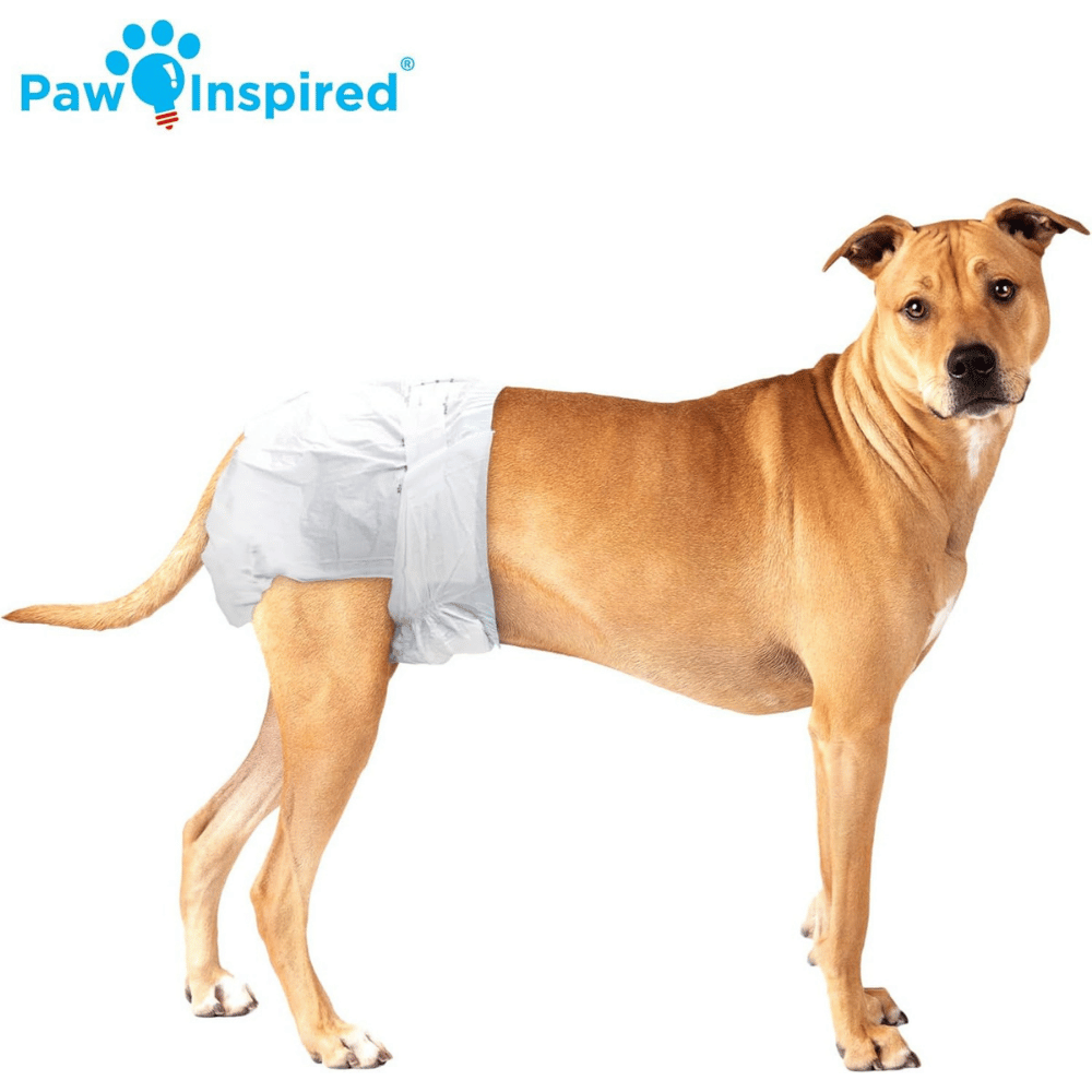 Paw Inspired Disposable Female Dog Diapers