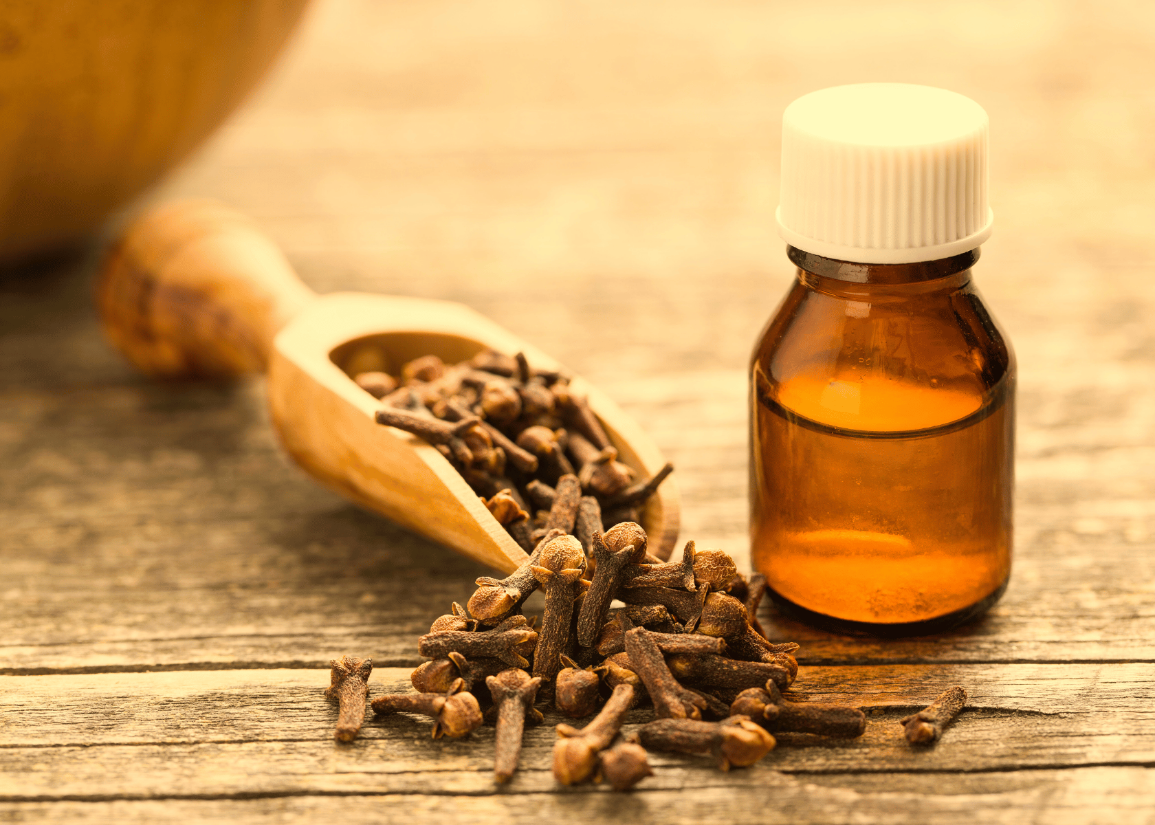 Clove Oil