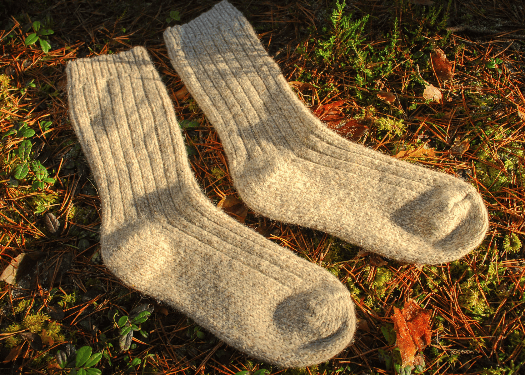 Merino Wool Socks