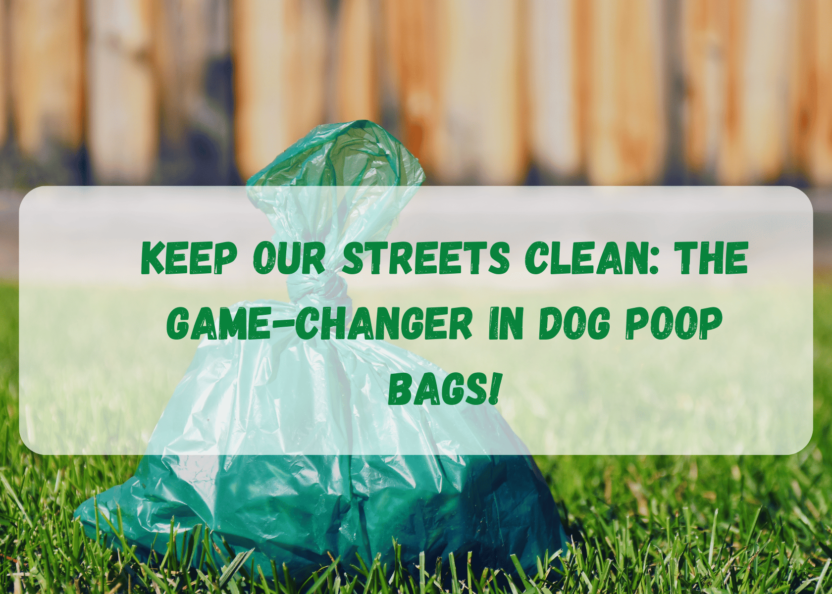 Dog Poop Bags