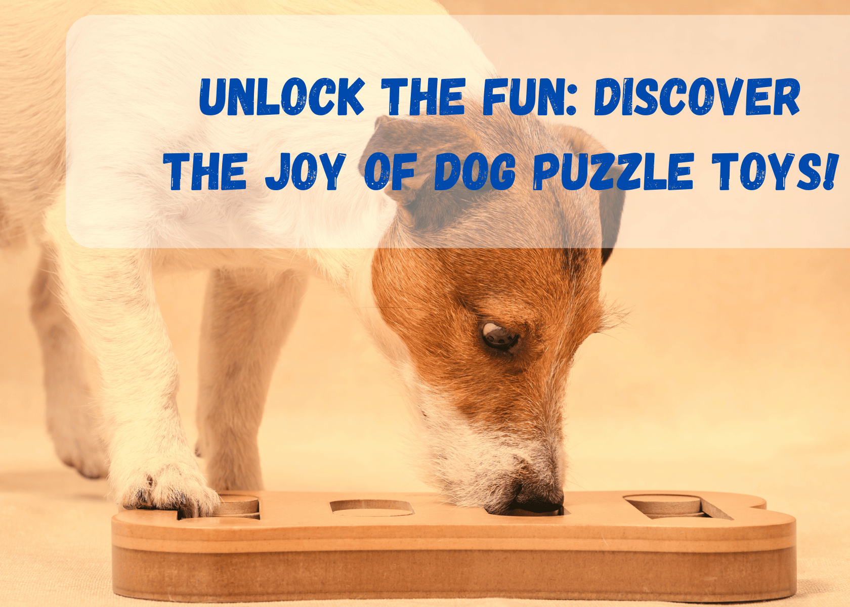 Dog Puzzle Toys