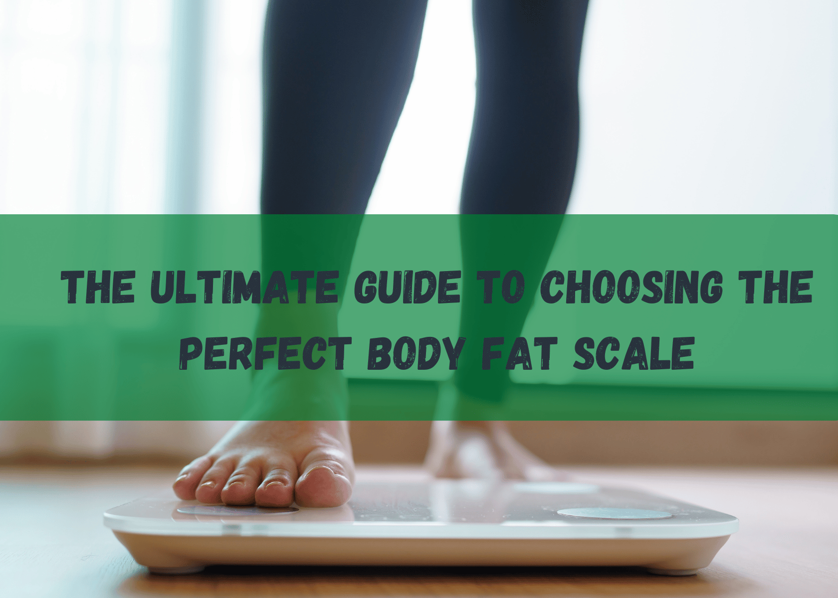 Body Fat Scale