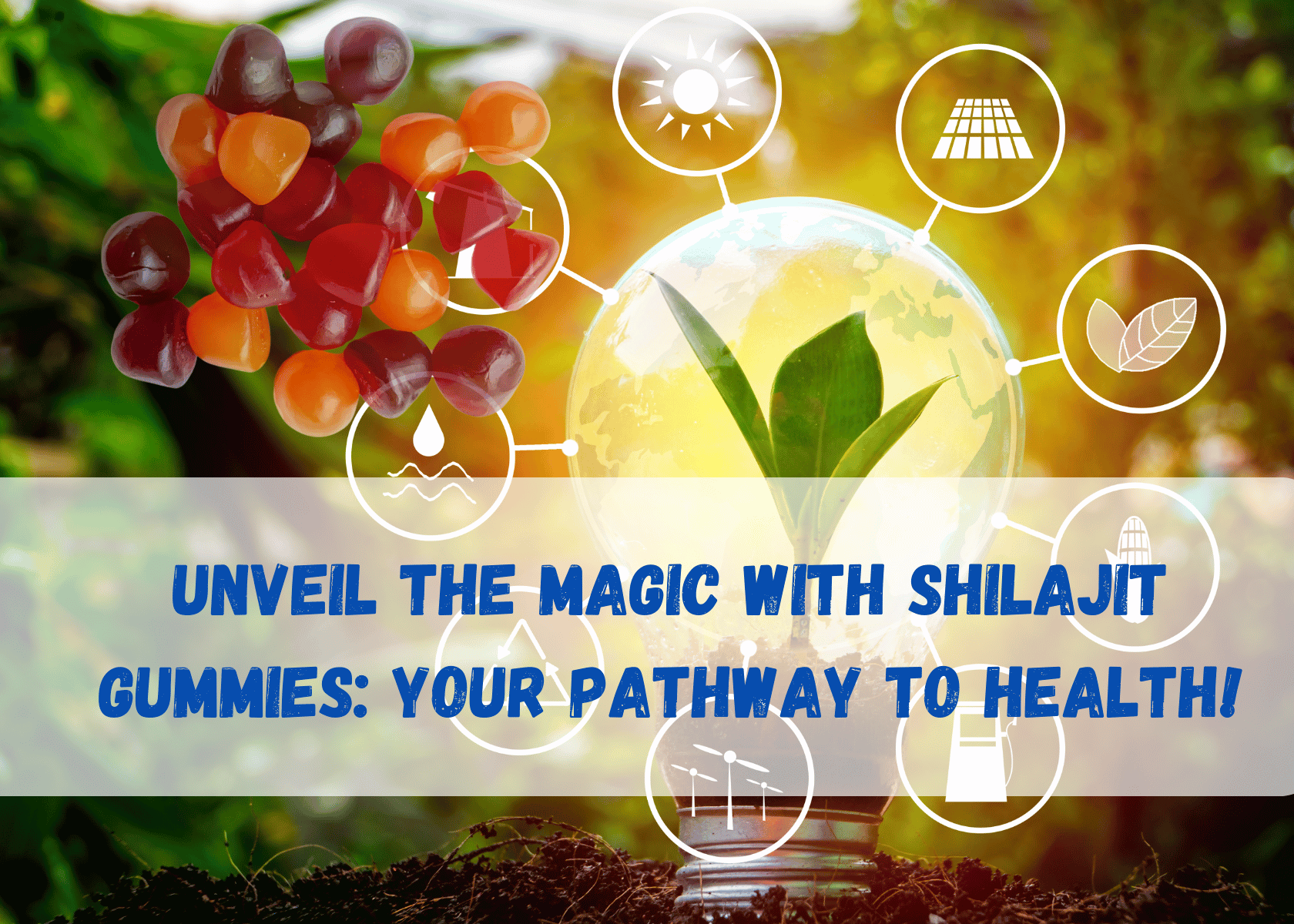 Shilajit Gummies