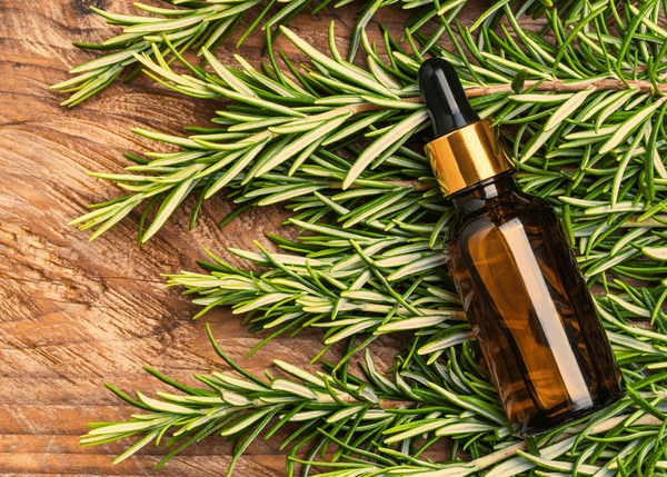 Rosemary Essential Oil