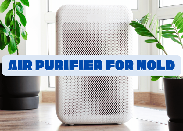 Air Purifier For Mold