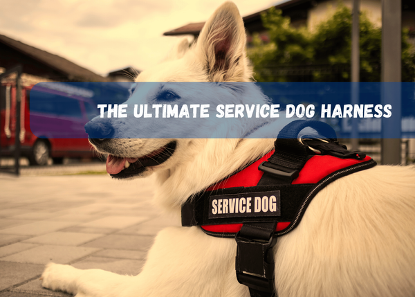 Service Dog Harness