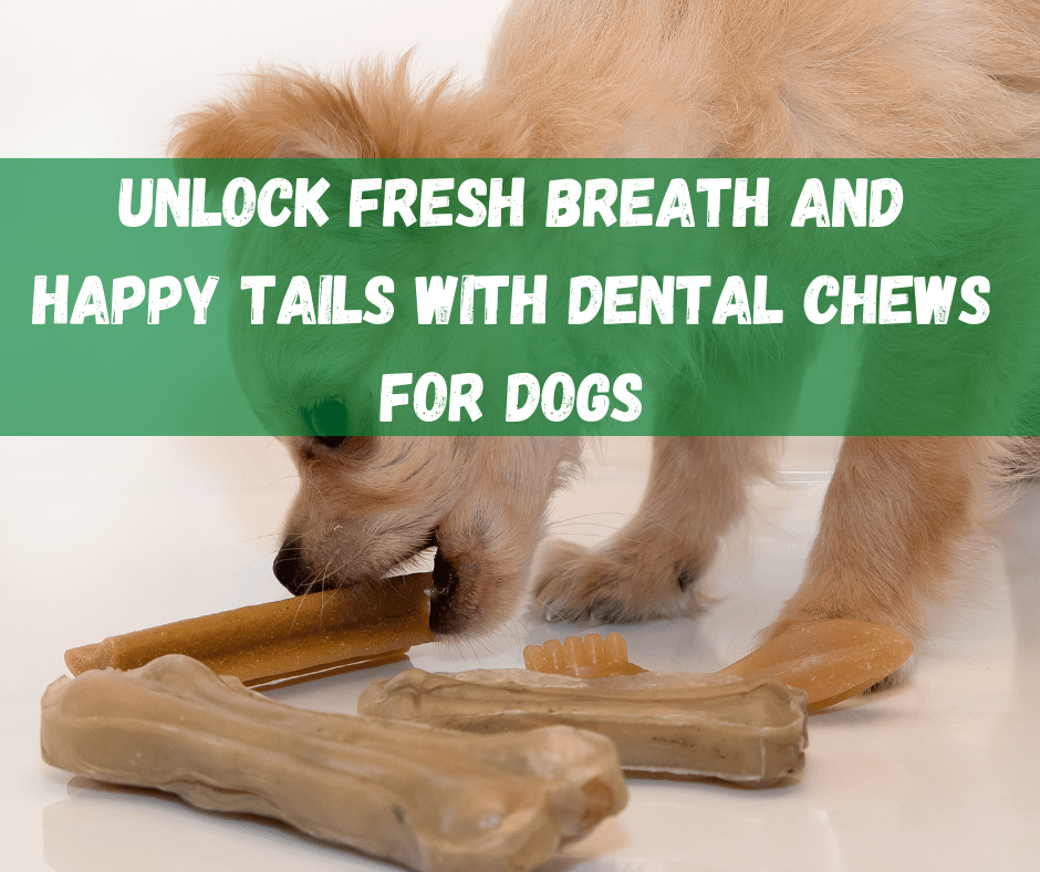 Dental Chews For Dogs​