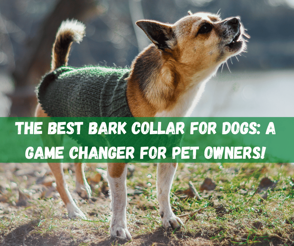 Bark Collar For Dogs​